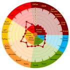 Malț Weyermann Spelt