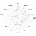 Hamei Warrior 1kg - 2021