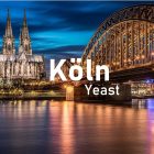 Drojdie Brewline Köln 12g