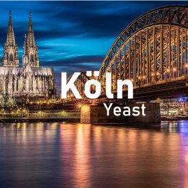 Drojdie Brewline Köln 12g