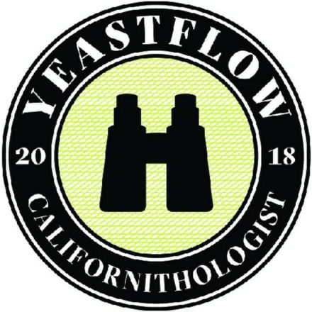 Drojdie Yeastflow Californithologist
