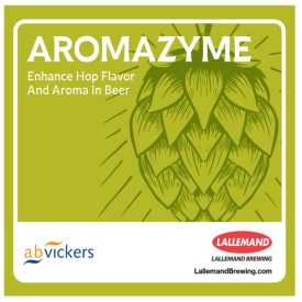 Aromazyme enzim 5g