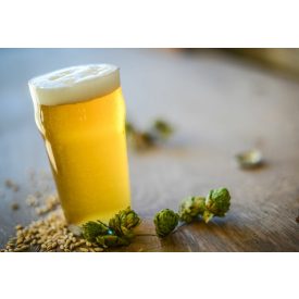 Münich Helles - 21L