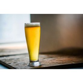 American Cream Ale 21L