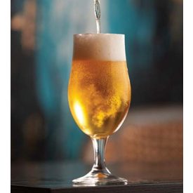 Standard Saison Ale 21L