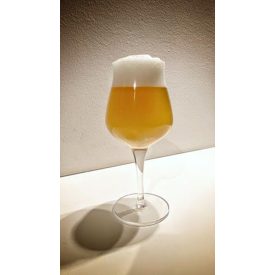 RAW NEIPA 21L