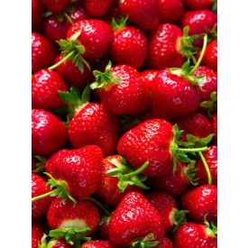 "Strawberry" Strata SMaSH IPA