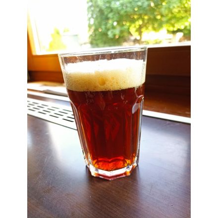 Altbier - 21L